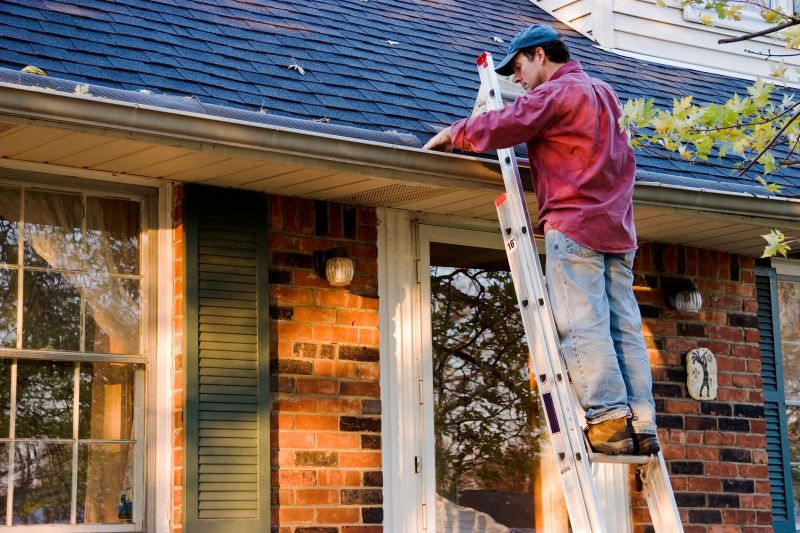 Local Roofing and Gutter Specialists