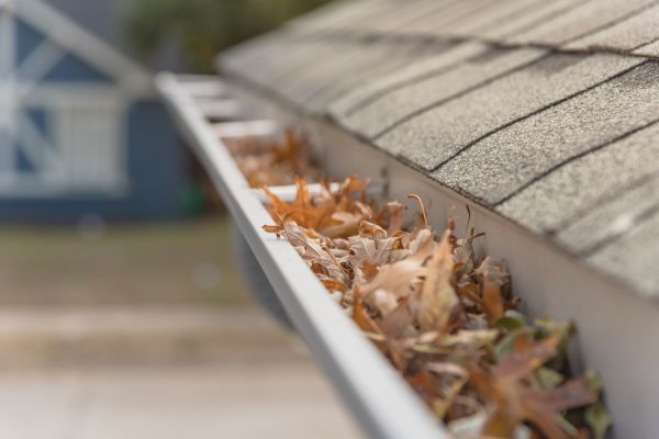 Leaf Barrier Installation in Brownsburg